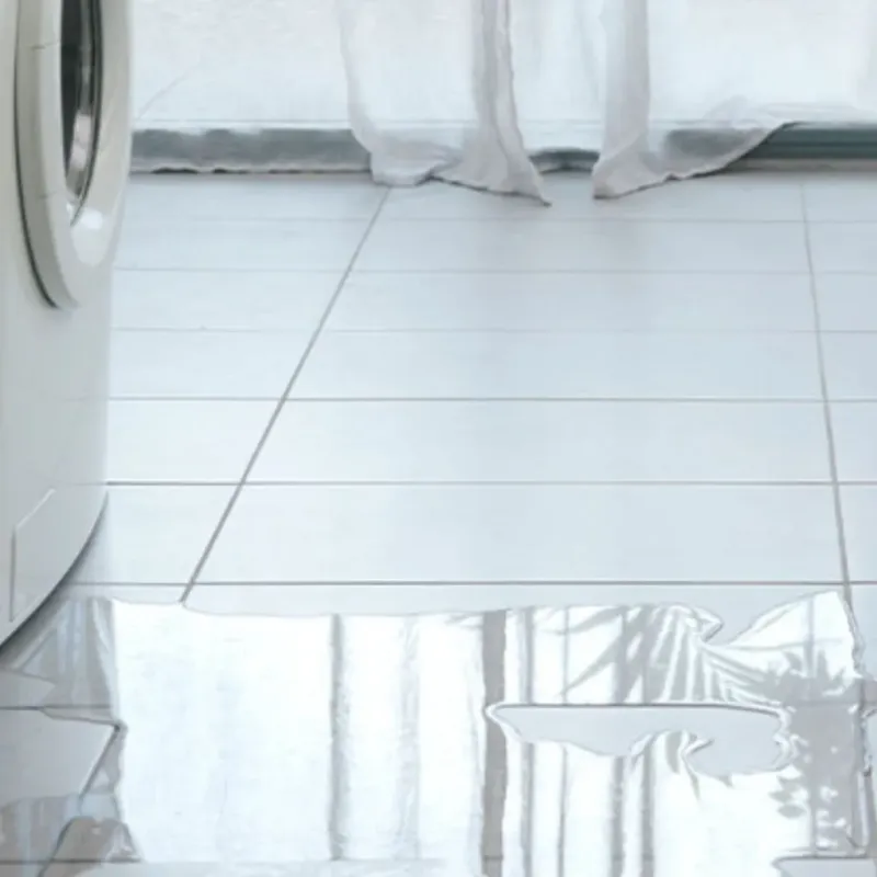 Appliance Leak Cleanup in Gaston, SC